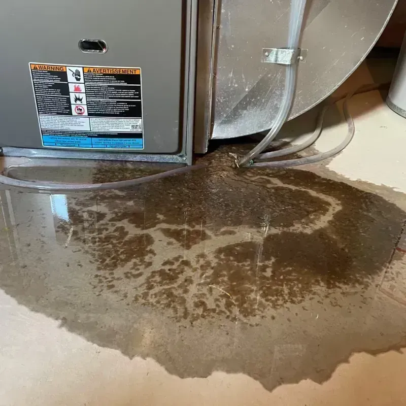 Appliance Leak Cleanup in Dade County, MO